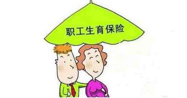 生育保险指南